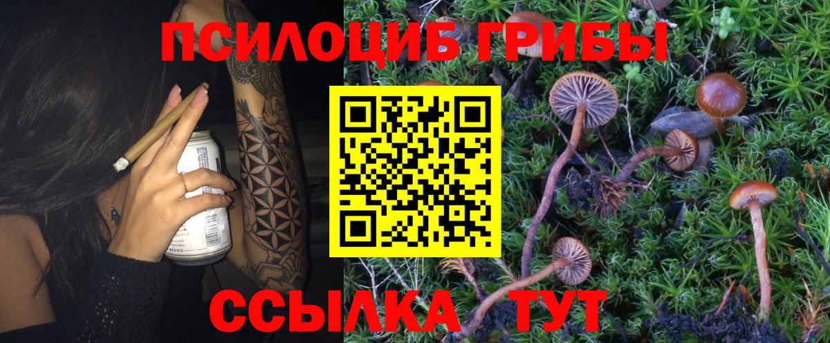 Сосновоборск  Псилоцибиновые грибы прущие грибы  Вход с VPN 
